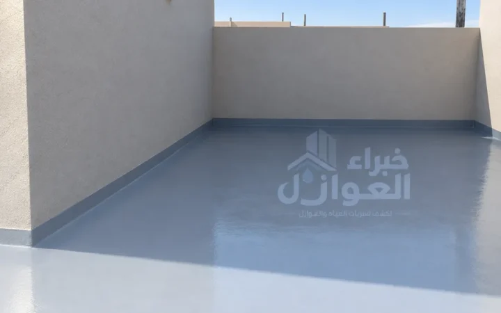ملحق سطح بطبقة عزل رمادية على الأرضية والزوايا